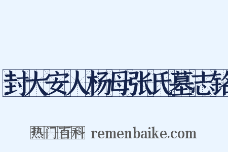 封大安人杨母张氏墓志铭是什么意思的图片